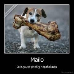 Mailo - Joks jautis prieš jį nepašokinės
