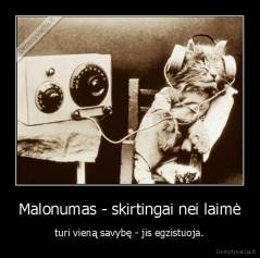 Malonumas - skirtingai nei laimė - turi vieną savybę - jis egzistuoja.