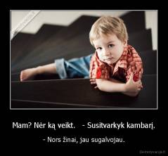 Mam? Nėr ką veikt.   - Susitvarkyk kambarį. - - Nors žinai, jau sugalvojau.
