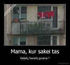 Mama, kur sakei tas - Kalėdų Senelis gyvena ?