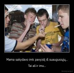 Mama sakydavo imk pavyzdį iš suaugusiųjų.. - Tai aš ir imu..