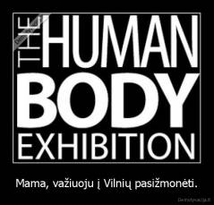 Mama, važiuoju į Vilnių pasižmonėti. - 