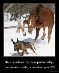 Mano batai buvo trys, du nupyzdino arklys, - o kad ziema butu shalta, tai nupizdino ir palta :DDD