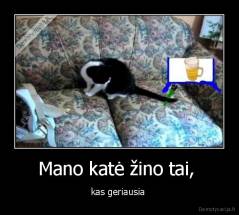 Mano katė žino tai,  - kas geriausia 