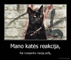 Mano katės reakcija, - Kai nusiperku naują sofą.