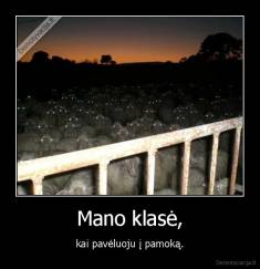 Mano klasė, - kai pavėluoju į pamoką.