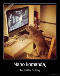 Mano komanda, - kai žaidžiu žaidimą