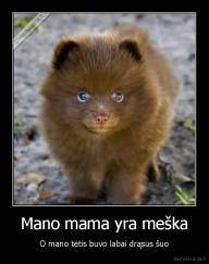 Mano mama yra meška - O mano tėtis buvo labai drąsus šuo