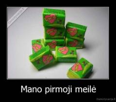 Mano pirmoji meilė - 
