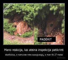 Mano reakcija, kai ateina inspekcija patikrinti - skaitliukus, o namuose nėra suaugusiųjų, o man tik 27 metai