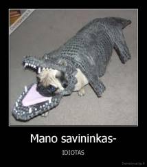 Mano savininkas- - IDIOTAS