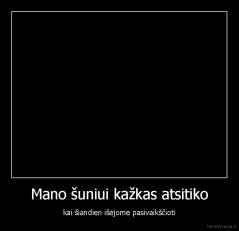 Mano šuniui kažkas atsitiko - kai šiandien išėjome pasivaikščioti
