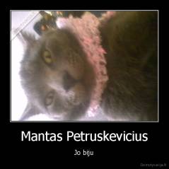 Mantas Petruskevicius - Jo biju