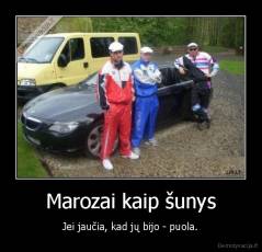 Marozai kaip šunys - Jei jaučia, kad jų bijo - puola.