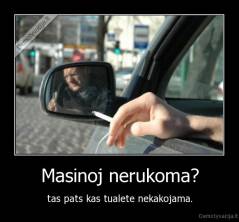 Masinoj nerukoma? - tas pats kas tualete nekakojama.