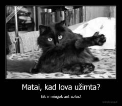 Matai, kad lova užimta? - Eik ir miegok ant sofos!