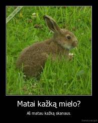 Matai kažką mielo? - Aš matau kažką skanaus.