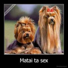Matai ta sex - 