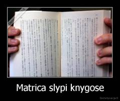 Matrica slypi knygose - 