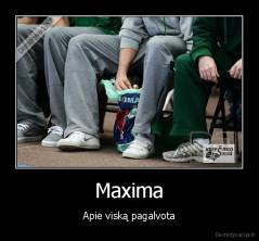 Maxima - Apie viską pagalvota.