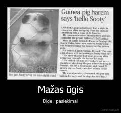 Mažas ūgis - Dideli pasiekimai