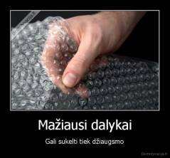 Mažiausi dalykai - Gali sukelti tiek džiaugsmo