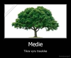 Medie - Tikra vyru traukike