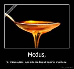 Medus, - Tai tirštas auksas, kuris suteikia daug džiaugsmo smaližiams.