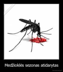 Medžioklės sezonas atidarytas - 