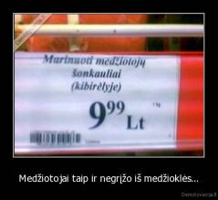 Medžiotojai taip ir negrįžo iš medžioklės... - 