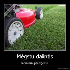 Mėgstu dalintis - labiausiai pareigomis
