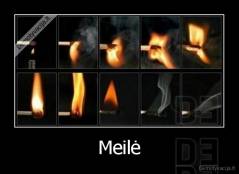 Meilė - 
