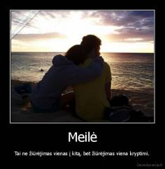Meilė - Tai ne žiūrėjimas vienas į kitą, bet žiūrėjimas viena kryptimi.