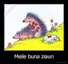 Meile buna ziauri - 