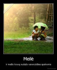 Meilė - ir mešlo kruvą nudažo vaivorykštes spalvomis
