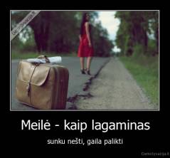 Meilė - kaip lagaminas - sunku nešti, gaila palikti