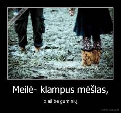 Meilė- klampus mėšlas, - o aš be guminių