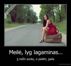 Meilė, lyg lagaminas... - jį nešti sunku, o palikti, gaila