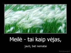 Meilė - tai kaip vėjas, -  jauti, bet nematai
