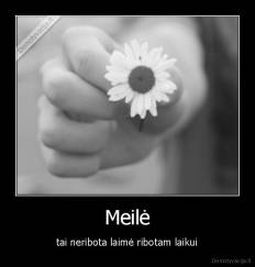 Meilė - tai neribota laimė ribotam laikui