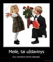 Meilė, tai uždavinys - kurį nevisiems lemta išspręsti.