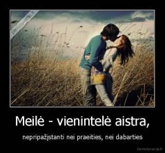 Meilė - vienintelė aistra, - nepripažįstanti nei praeities, nei dabarties