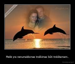 Meilė yra nenumaldomas troškimas būti trokštamam.. - 