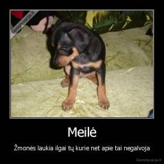 Meilė - Žmonės laukia ilgai tų kurie net apie tai negalvoja