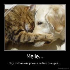 Meile... - tik ji didziausius priesus padaro draugais...