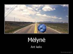 Mėlynė - Ant kelio