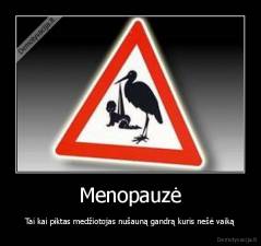 Menopauzė - Tai kai piktas medžiotojas nušauną gandrą kuris nešė vaiką