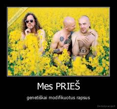 Mes PRIEŠ - genetiškai modifikuotus rapsus