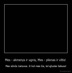 Mes - akmenys ir ugnis, Mes - plienas ir viltis!  - Mes sūnūs Lietuvos. Ir kol mes čia, tol ąžuolai žaliuos!