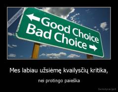Mes labiau užsiėmę kvailysčių kritika, - nei protingo paieška